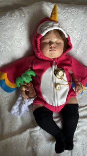 Arara brasileira