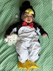 Bebê Pinguim da linha Eternità dos Sonhos — foto 1