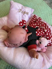 Porquinha Reborn — foto 3